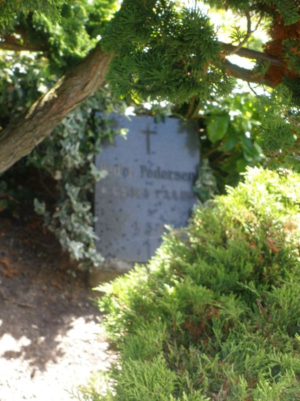 Peder Pedersen.JPG